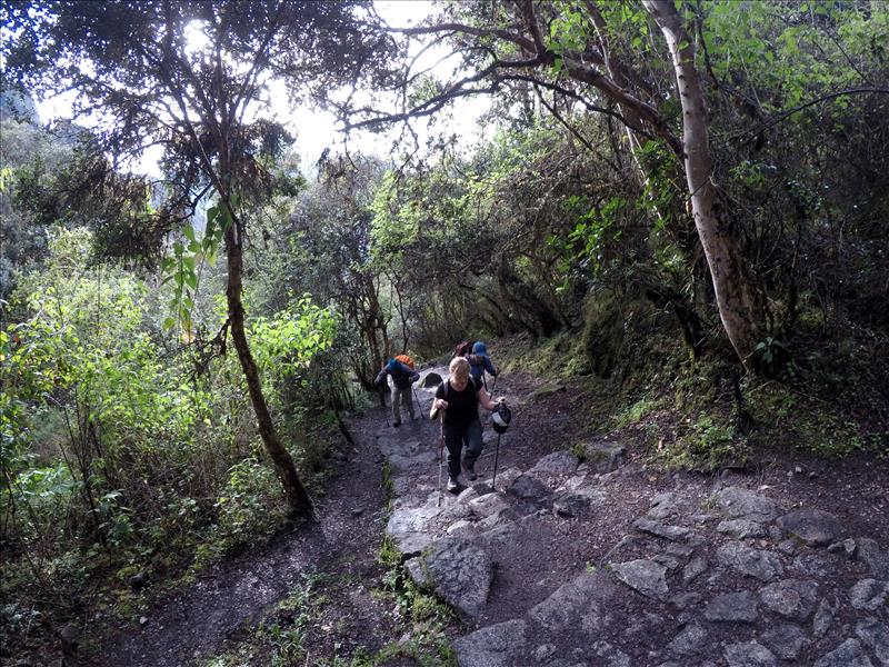 Inca-Trail-~-Ayapata-to-Chaquicocha-1