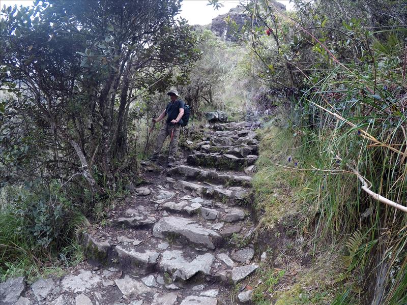 Inca-Trail-~-Ayapata-to-Chaquicocha-9